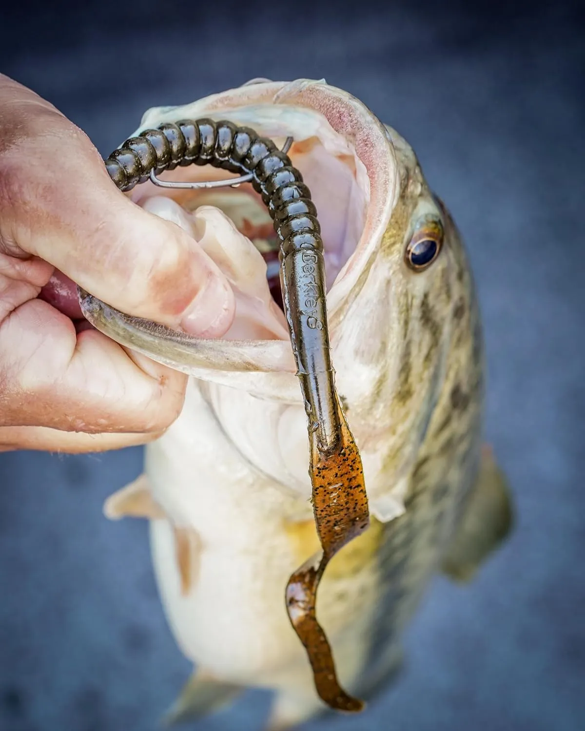 Berkley PowerBait Power Worms Fishing Soft Bait