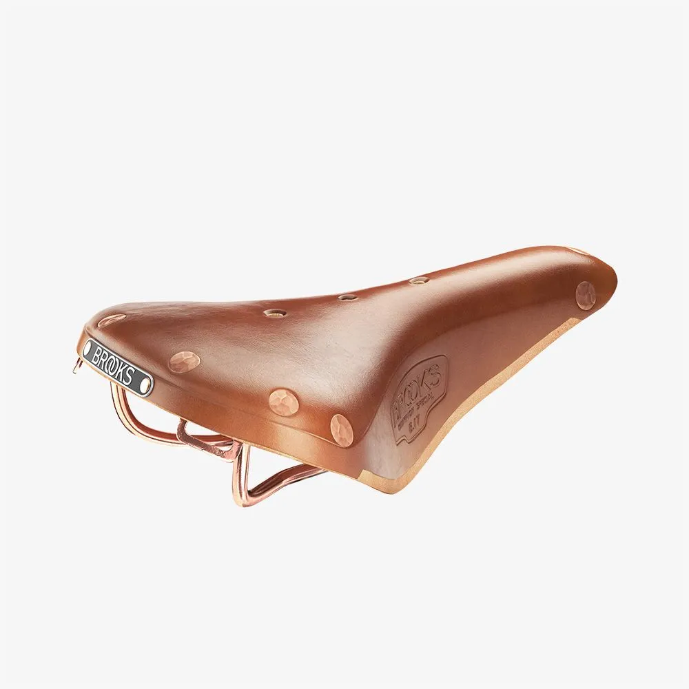 Brooks Classic B17 Special Leather and Copper Saddle