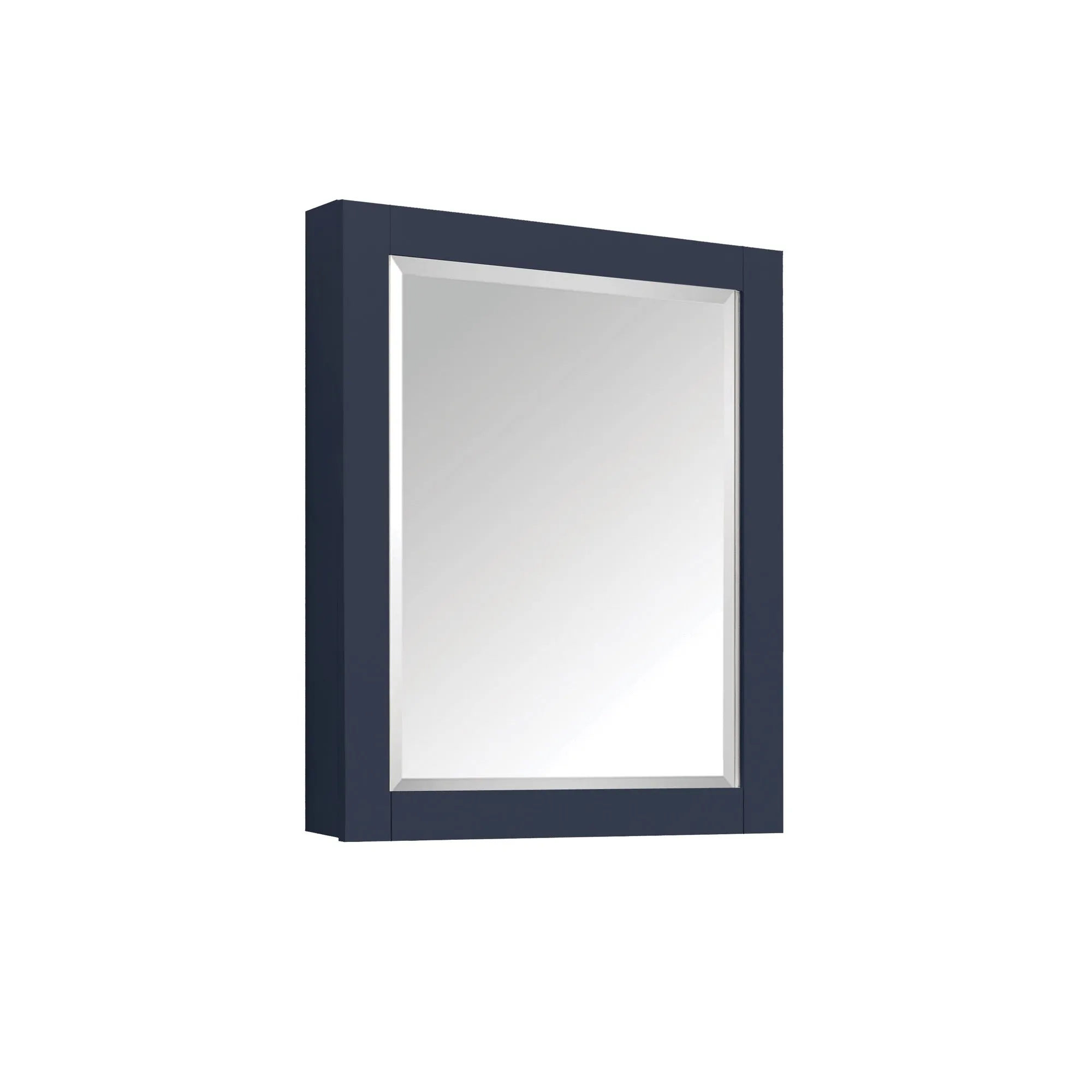 Brooks Collections Mirror Cabinet
