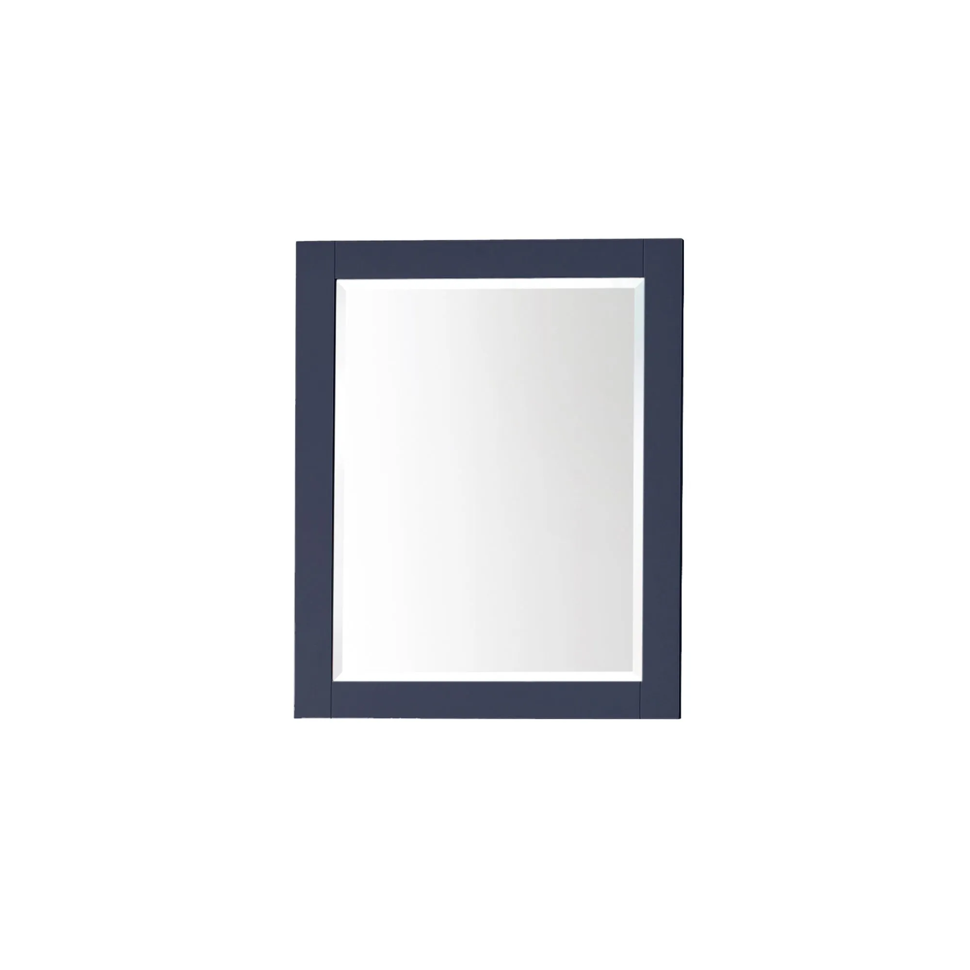 Brooks Collections Mirror Cabinet