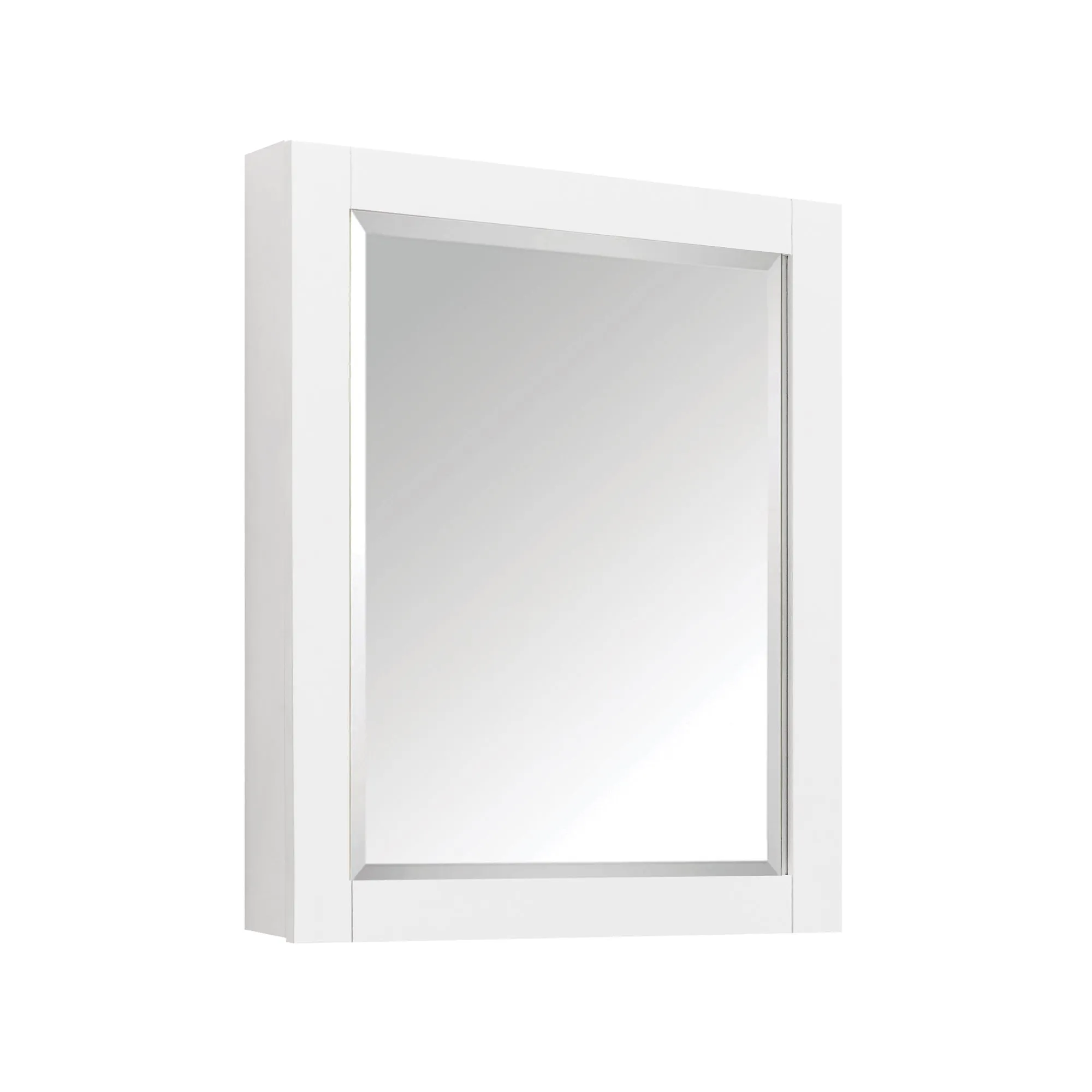 Brooks Collections Mirror Cabinet