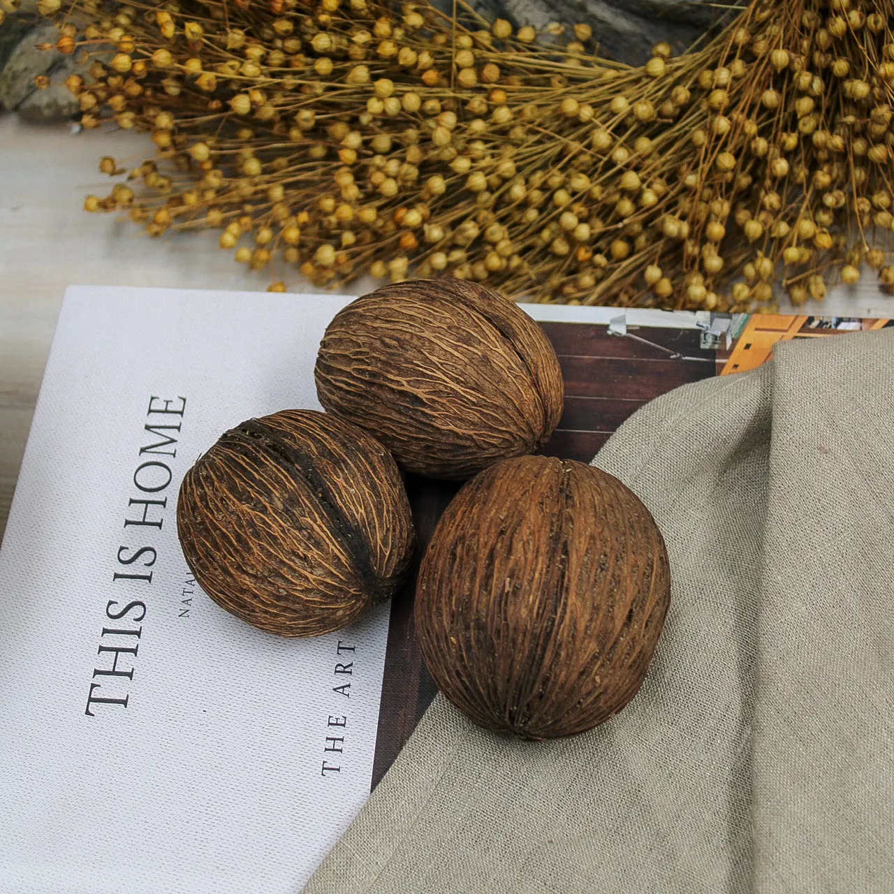 Dried Mintolla Seed Pods | Bundle of 10