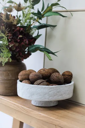Dried Mintolla Seed Pods | Bundle of 10
