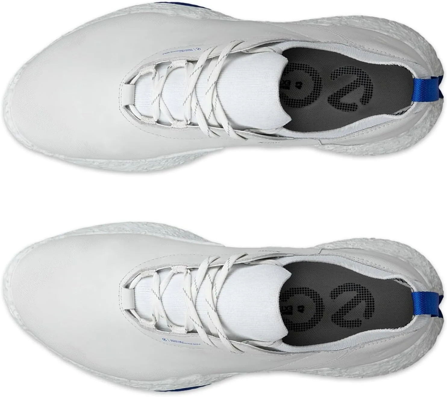 ECCO Men's Biom Hybrid 5 Lace Waterproof Golf Shoe