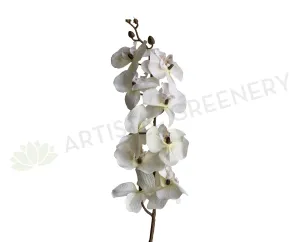 F0348 Phalaenopsis Orchid Spray (Autumn Style) 101cm White