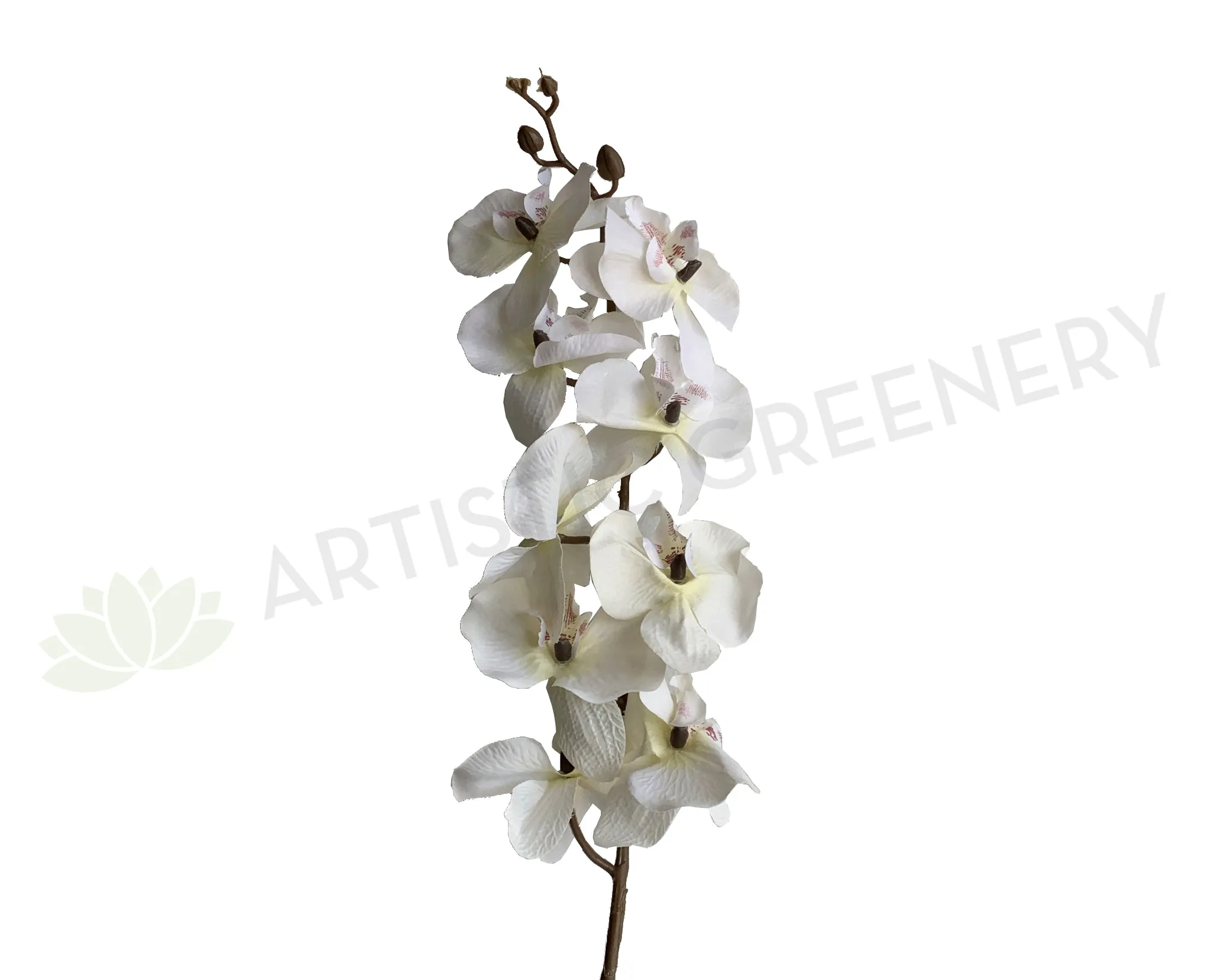 F0348 Phalaenopsis Orchid Spray (Autumn Style) 101cm White