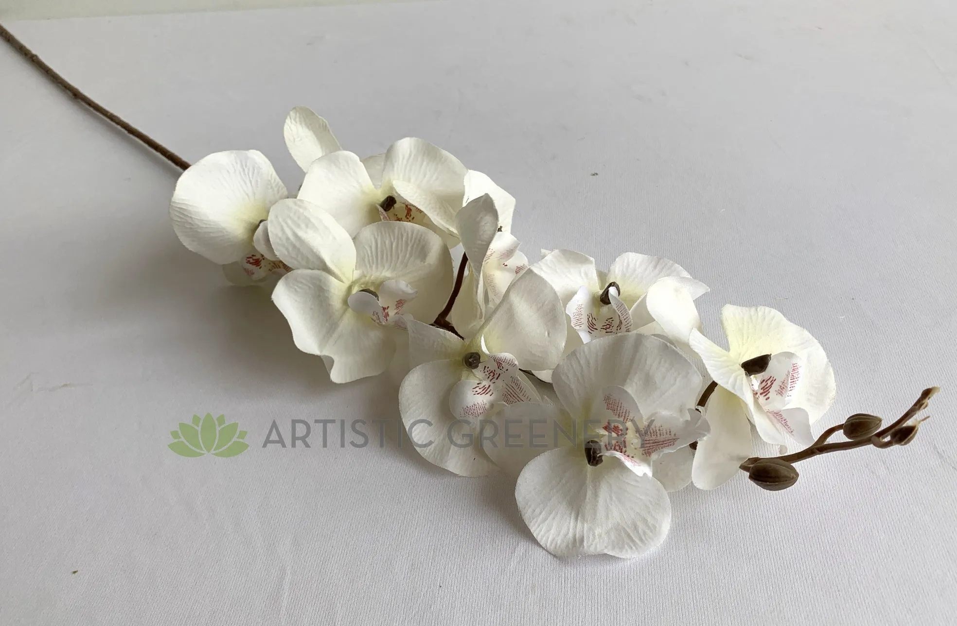 F0348 Phalaenopsis Orchid Spray (Autumn Style) 101cm White