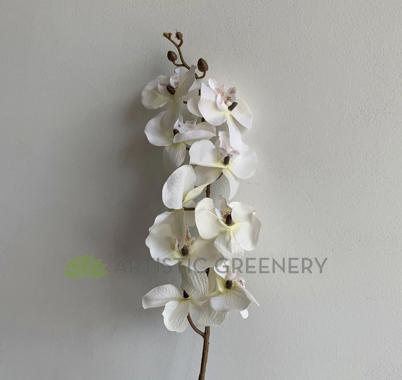 F0348 Phalaenopsis Orchid Spray (Autumn Style) 101cm White