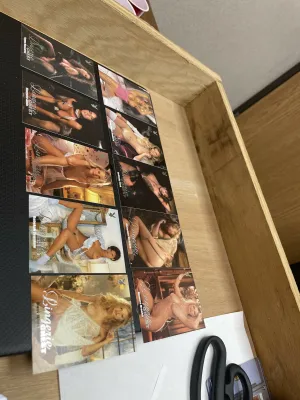 Lingerie Chest 10 Card platinum subset from the playmate vault release