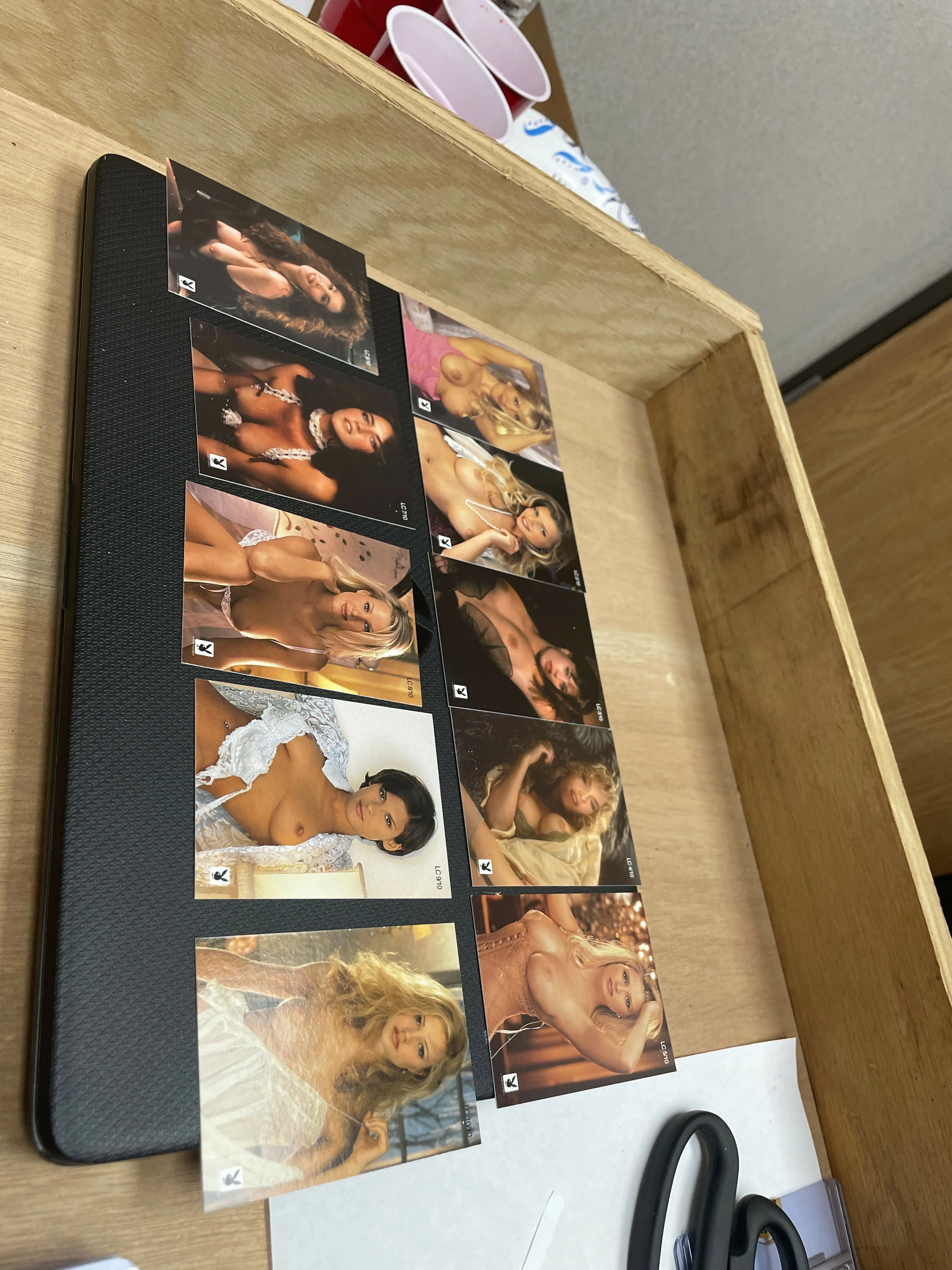Lingerie Chest 10 Card platinum subset from the playmate vault release