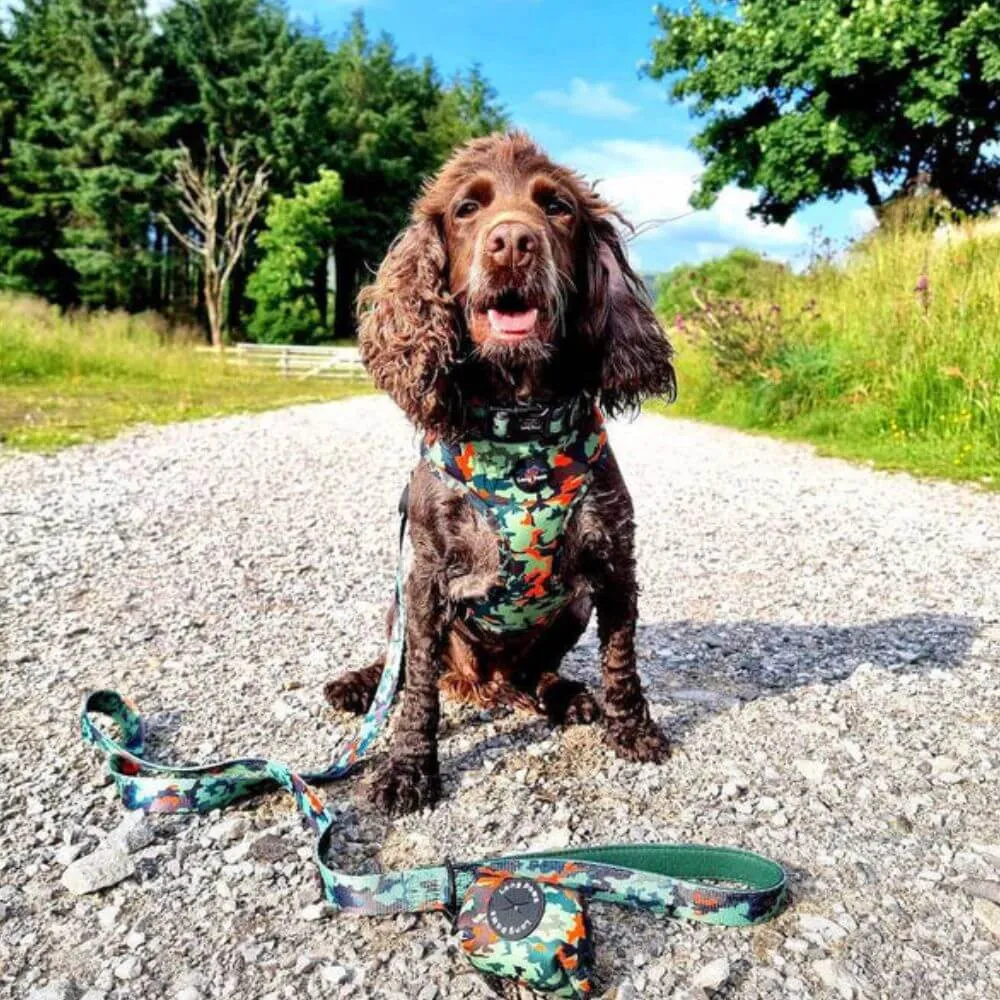 Long Paws Earth Friendly Trig Point Dog Lead