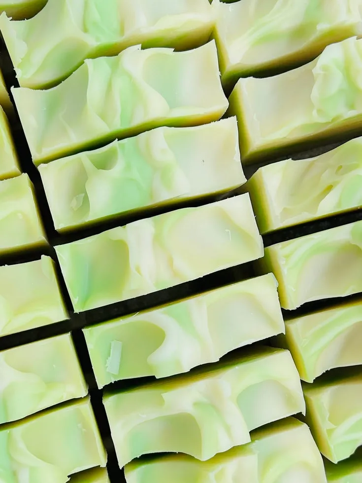 Natural Aloe Vera Clover Soap