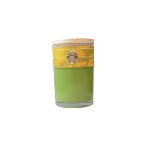 SPRING EQUINOX by Terra Essential Scents (UNISEX)